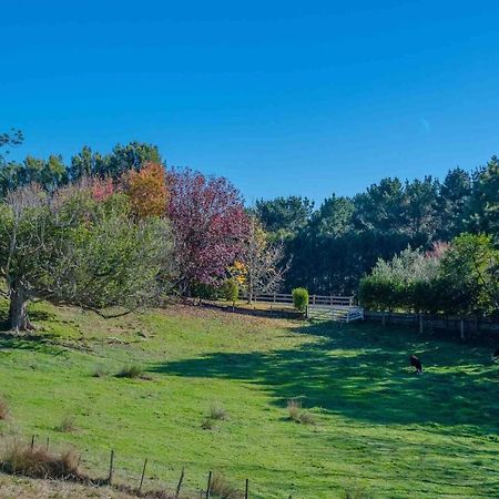 Cosy Lifestyle Cottage Perfect Getaway Pukekohe Exterior photo